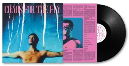 Chaos For The Fly - Grian Chatten