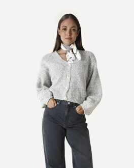 Charlotte knitted cardigan - Grijs - XS