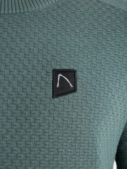 CHASIN' 31190001 e53 heren trui model oliver half zip -  chas Groen