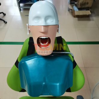 Cheap C4 Type Dental Simulation Head Model Dental Implant Model Dentistry Manikins Phantom Head Sennior Dental Training Model