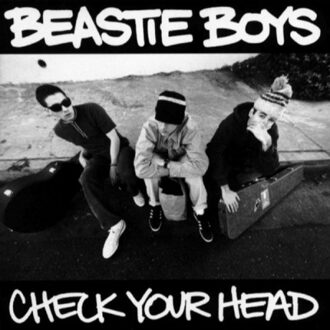 Check Your Head 2Lp (LP)