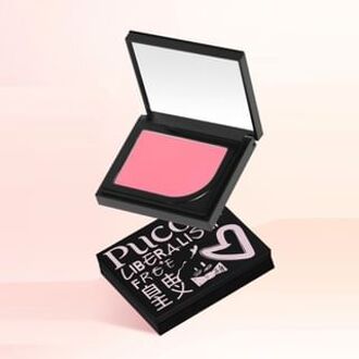 Cheek Blusher - #01-#03 #01 - 3g