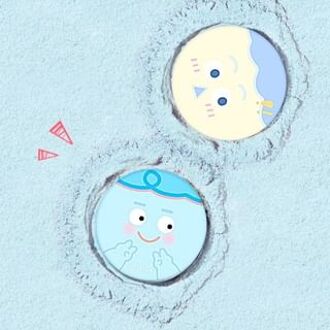 Cheek Blusher - PB01-03 #PB03 - 3.2g