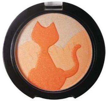 Cheek Cat CC45 6g
