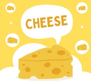 Cheese - Andries B.V.