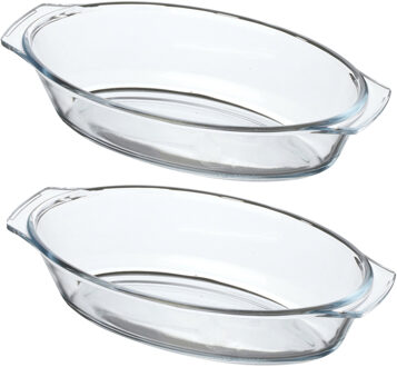 Chef Traiteur Ovenschaal van borosilicaat glas - 2x - ovaal - 0.7 Liter - 24 x 13 x 5 cm - Ovenschalen Transparant