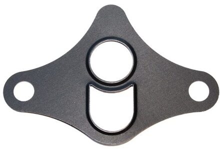 Chevrolet Afdichting, AGR klep 449831