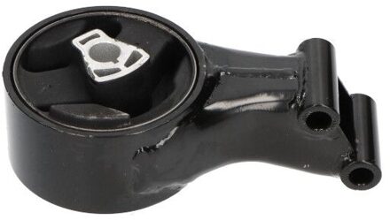 Chevrolet Aslichaam-/motorsteunlager EEM1056