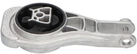 Chevrolet Aslichaam-/motorsteunlager EEM1071