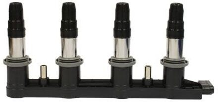 Chevrolet Bobine 134032