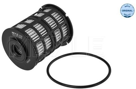 Chevrolet Brandstoffilter 6143230008