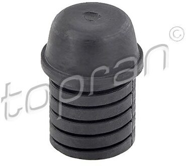 Chevrolet Buffer, motorkap 205234