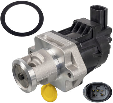 Chevrolet EGR-klep 171248