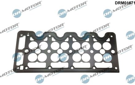 Chevrolet Klepdekselpakking DRM01671