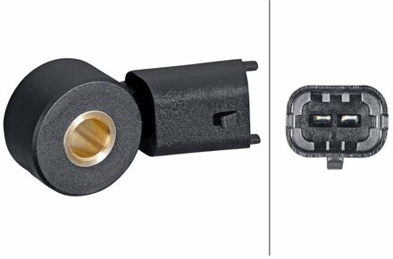 Chevrolet Klopsensor 6PG013114591