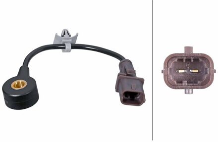 Chevrolet Klopsensor 6PG013114831