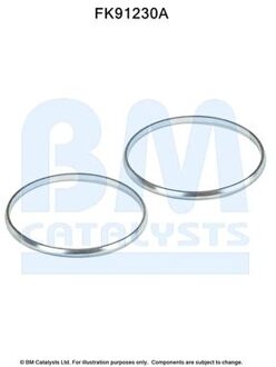 Chevrolet Montageset, katalysator FK91230