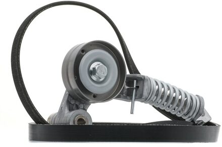 Chevrolet Multiriem set K015PK1335