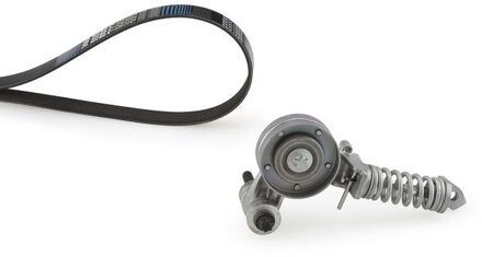 Chevrolet Multiriem set K025PK1205