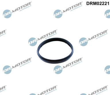 Chevrolet Pakking, distributiekettingspanner DRM02221