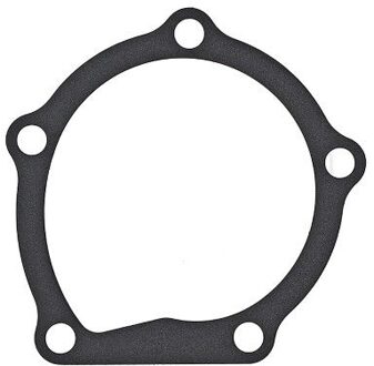 Chevrolet Pakking, waterpomp 925170