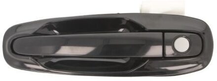 Chevrolet Portiergreep buitenkant 601056002401PP