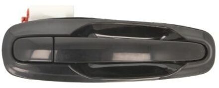 Chevrolet Portiergreep buitenkant 601056002404PP