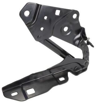 Chevrolet Scharnier, motorkap 6802001196451P