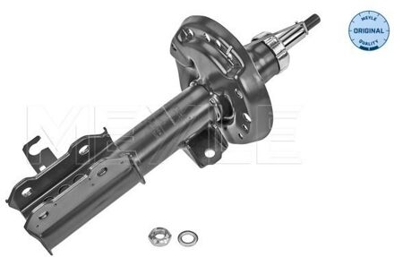 Chevrolet Schokdemper 6266230020