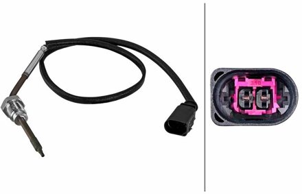 Chevrolet Sensor, uitlaatgastemperatuur 6PT010376741