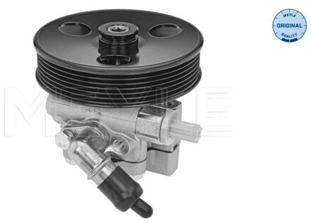 Chevrolet Servo pomp 29146310004