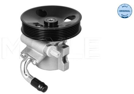 Chevrolet Servo pomp 29146310005