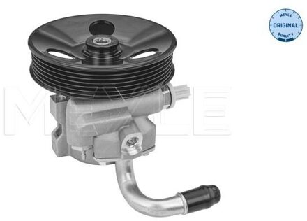 Chevrolet Servo pomp 29146310006