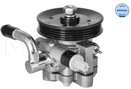 Chevrolet Servo pomp 29146310009