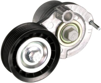 Chevrolet Spanrol, Poly V-riem DriveAlign® T39270