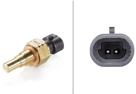 Chevrolet Temperatuursensor 6PT009107271