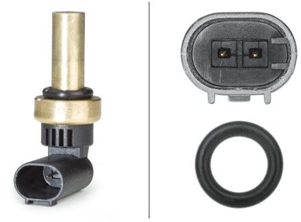 Chevrolet Temperatuursensor 6PT358058221