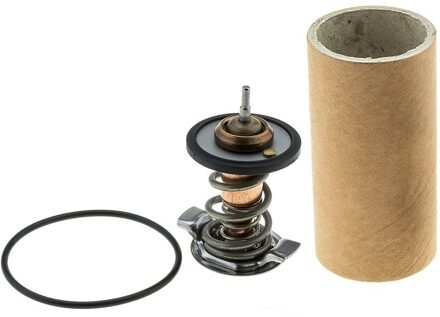 Chevrolet Thermostaat, koelvloeistof 73582K