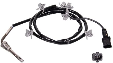 Chevrolet Uitlaatgastemperatuursensor 100842