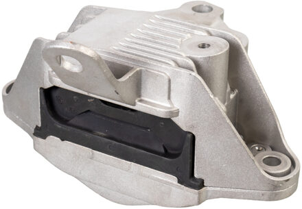 Chevrolet versnellingsbaksteun 172705