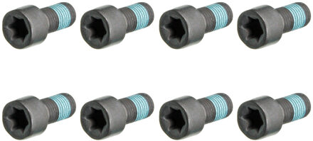 Chevrolet vliegwielschroevenset ADW1930128