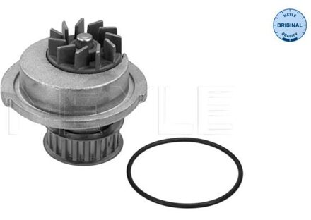 Chevrolet Waterpomp 29133500001