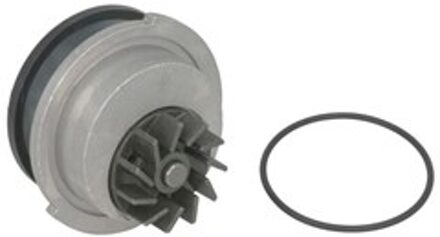 Chevrolet Waterpomp 538006610