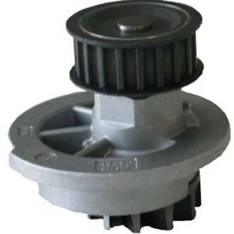 Chevrolet Waterpomp DW1005