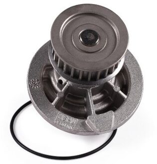 Chevrolet Waterpomp P314