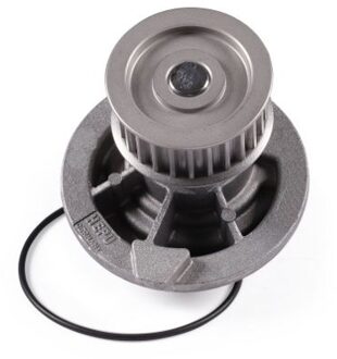 Chevrolet Waterpomp P316