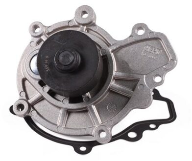 Chevrolet Waterpomp P369