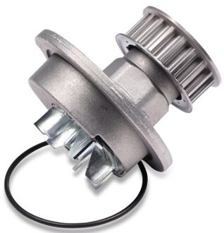 Chevrolet Waterpomp P791