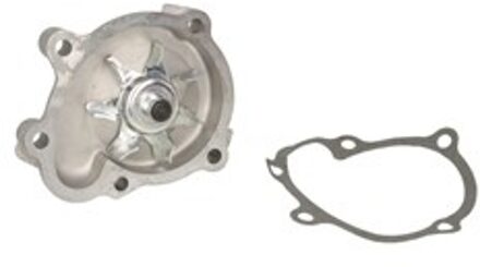 Chevrolet Waterpomp WPS3009