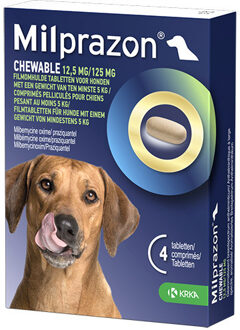 Chewable 12,5 mg / 125 mg hond 2 tabletten